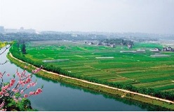 武隆县双河乡蔬菜种植微型企业创业基地